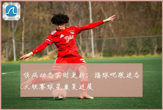 伤病动态实时更新：播球吧跟进各大联赛球星康复进展