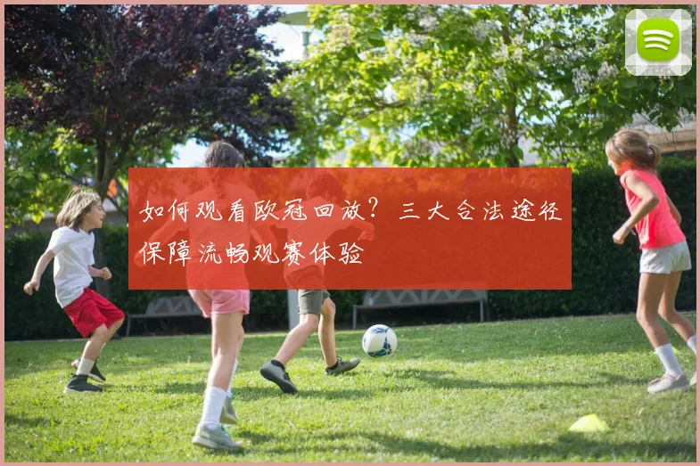 如何观看欧冠回放？三大合法途径保障流畅观赛体验