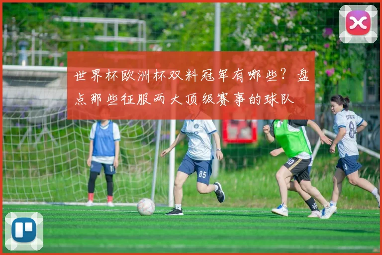 世界杯欧洲杯双料冠军有哪些？盘点那些征服两大顶级赛事的球队