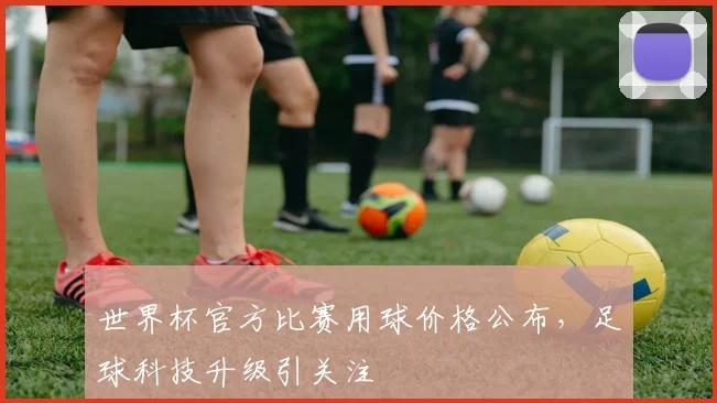 世界杯官方比赛用球价格公布，足球科技升级引关注