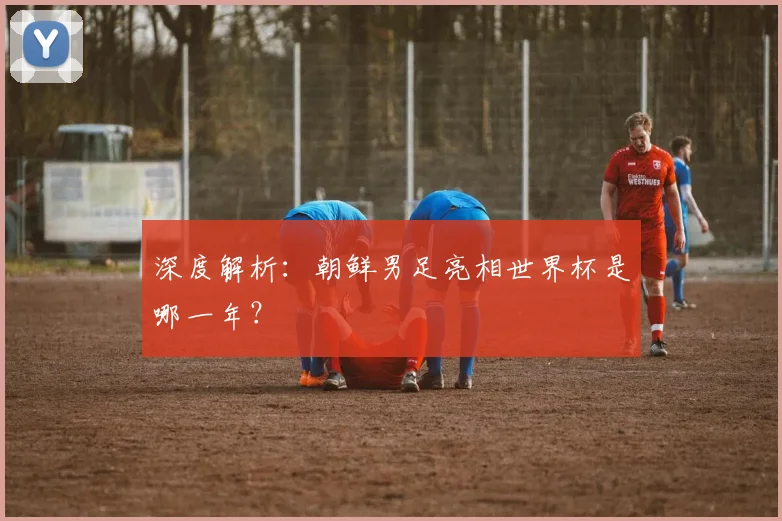 深度解析：朝鲜男足亮相世界杯是哪一年？
