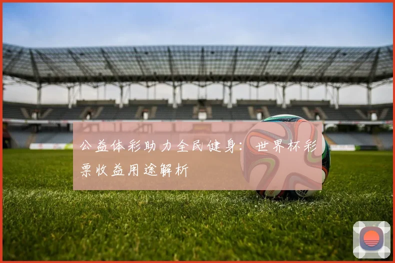 公益体彩助力全民健身：世界杯彩票收益用途解析