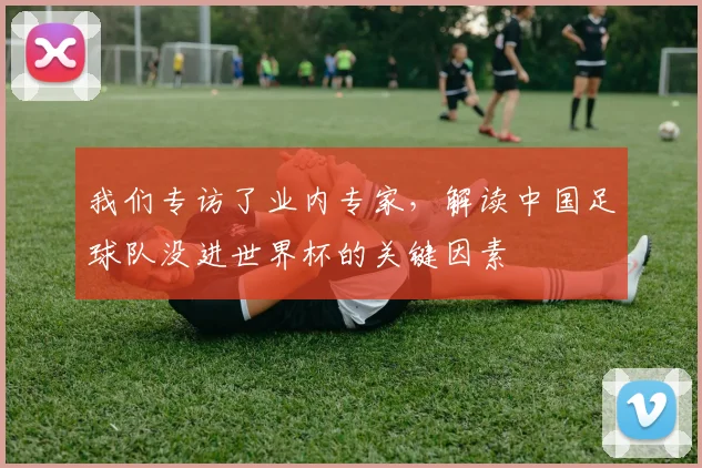 我们专访了业内专家，解读中国足球队没进世界杯的关键因素